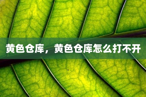 黄色仓库，黄色仓库怎么打不开