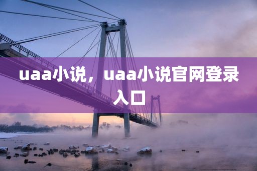 uaa小说，uaa小说官网登录入口