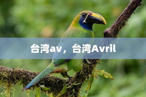 台湾av，台湾Avril