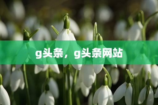 g头条，g头条网站