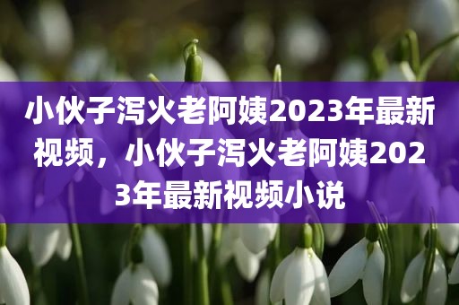小伙子泻火老阿姨2023年最新视频，小伙子泻火老阿姨2023年最新视频小说