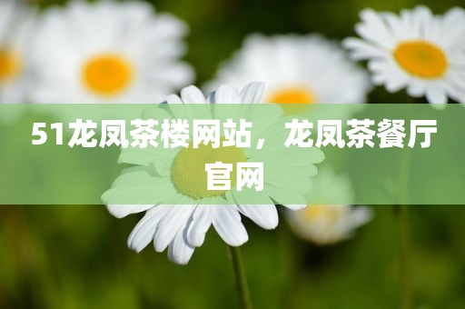 51龙凤茶楼网站，龙凤茶餐厅官网