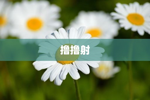 撸撸射