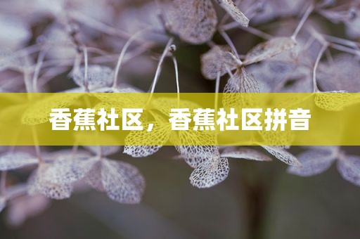 香蕉社区，香蕉社区拼音