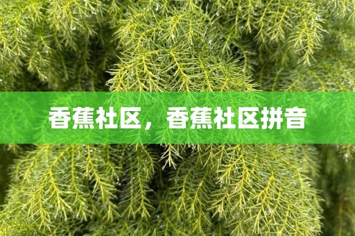 香蕉社区，香蕉社区拼音