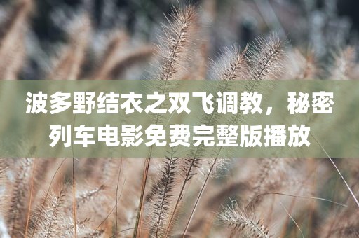 波多野结衣之双飞调教，秘密列车电影免费完整版播放