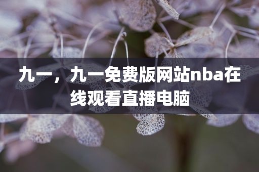 九一，九一免费版网站nba在线观看直播电脑