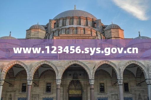 www.123456.sys.gov.cn