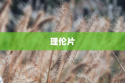 理伦片