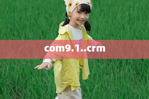 com9.1..crm