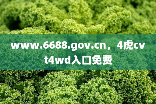 www.6688.gov.cn，4虎cvt4wd入口免费