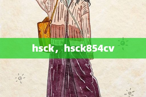 hsck，hsck854cv