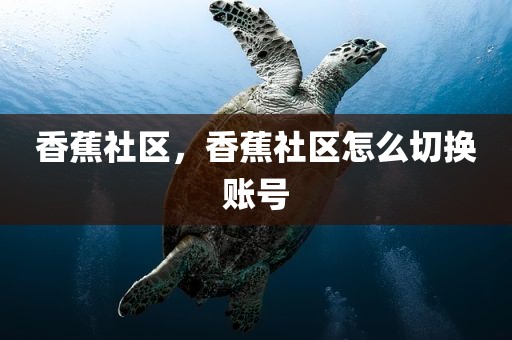 香蕉社区，香蕉社区怎么切换账号