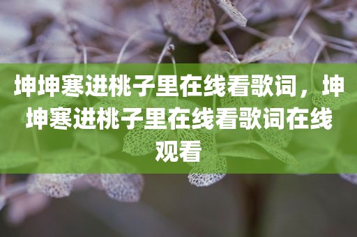 坤坤寒进桃子里在线看歌词，坤坤寒进桃子里在线看歌词在线观看