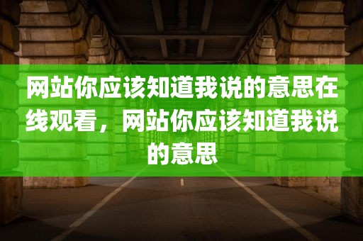网站你应该知道我说的意思在线观看，网站你应该知道我说的意思
