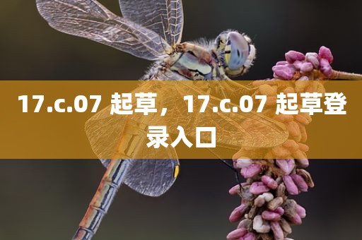 17.c.07 起草，17.c.07 起草登录入口