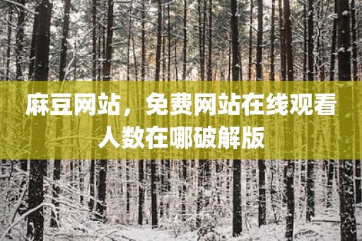 麻豆网站，免费网站在线观看人数在哪破解版