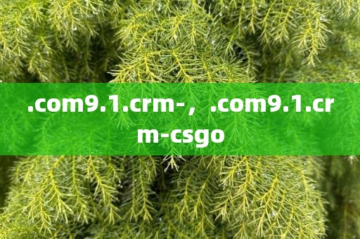 .com9.1.crm-，.com9.1.crm-csgo