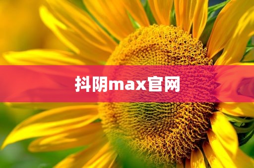 抖阴max官网