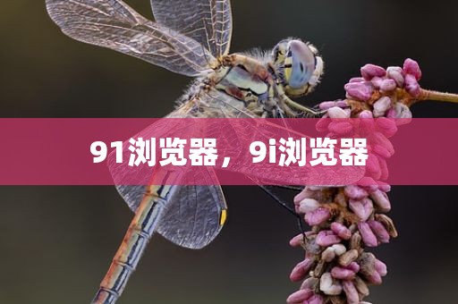 91浏览器，9i浏览器