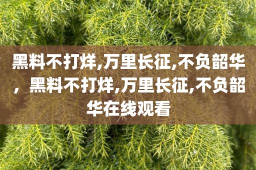 黑料不打烊,万里长征,不负韶华，黑料不打烊,万里长征,不负韶华在线观看