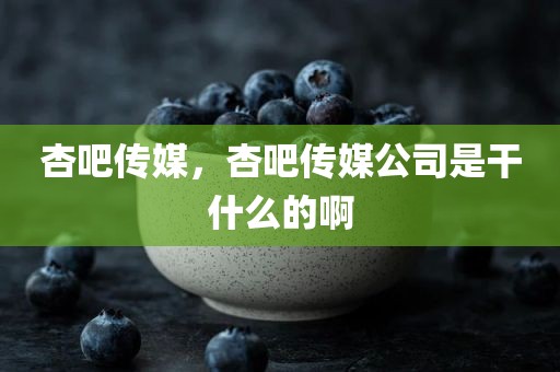 杏吧传媒，杏吧传媒公司是干什么的啊