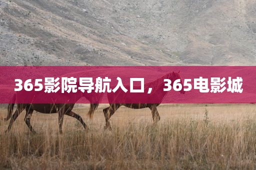 365影院导航入口，365电影城
