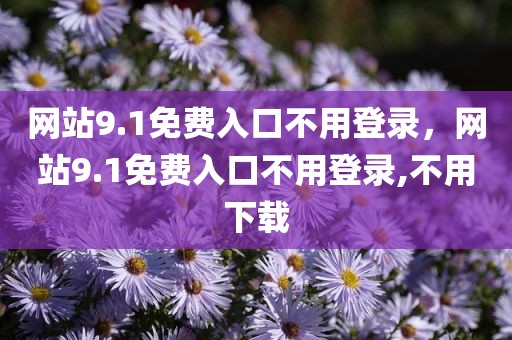 网站9.1免费入口不用登录，网站9.1免费入口不用登录,不用下载