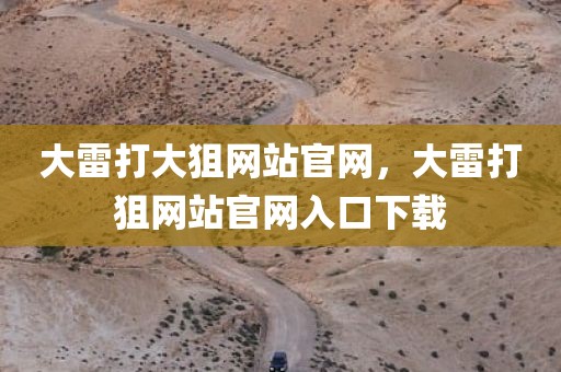 大雷打大狙网站官网，大雷打狙网站官网入口下载