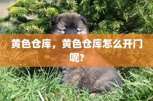 黄色仓库，黄色仓库怎么开门呢?