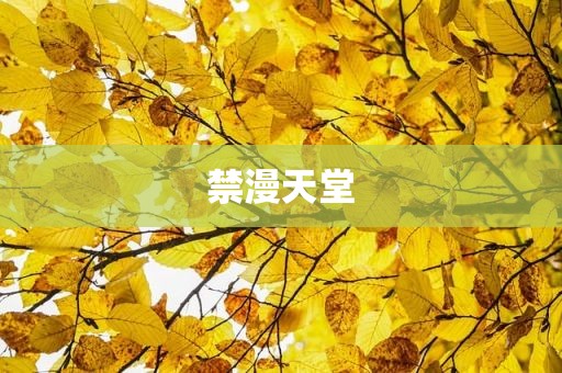禁漫天堂