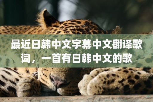 最近日韩中文字幕中文翻译歌词，一首有日韩中文的歌