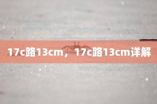 17c路13cm，17c路13cm详解