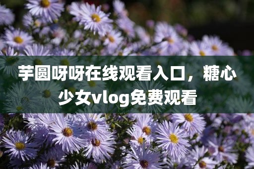 芋圆呀呀在线观看入口，糖心少女vlog免费观看