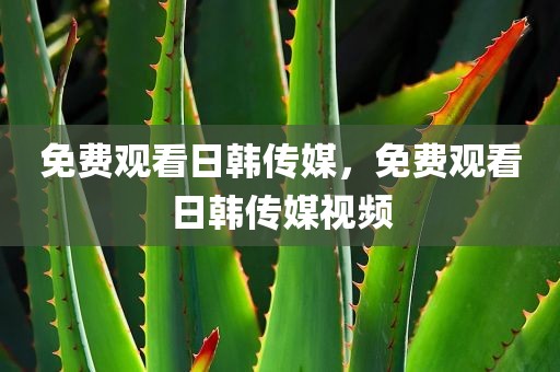 免费观看日韩传媒，免费观看日韩传媒视频