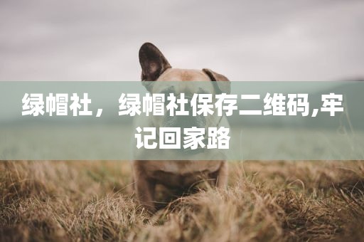 绿帽社，绿帽社保存二维码,牢记回家路