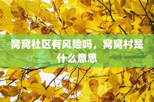 窝窝社区有风险吗，窝窝村是什么意思