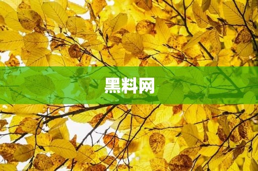 黑料网