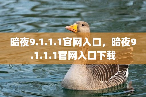 暗夜9.1.1.1官网入口，暗夜9.1.1.1官网入口下载