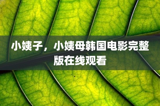 小姨子，小姨母韩国电影完整版在线观看