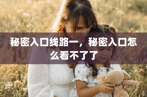 秘密入口线路一，秘密入口怎么看不了了