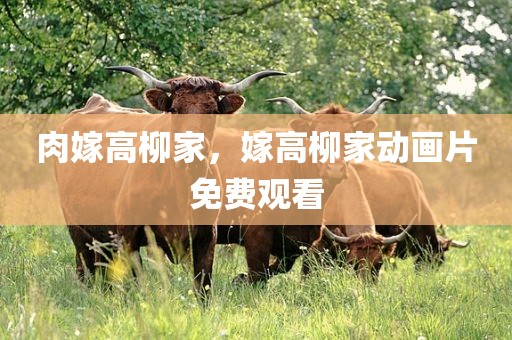 肉嫁高柳家，嫁高柳家动画片免费观看