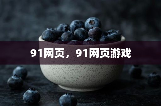 91网页，91网页游戏