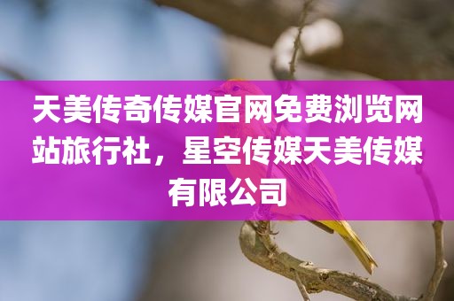 天美传奇传媒官网免费浏览网站旅行社，星空传媒天美传媒有限公司