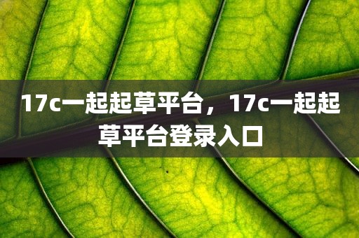 17c一起起草平台，17c一起起草平台登录入口