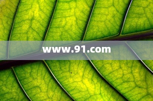 www.91.com