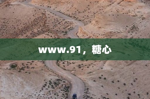 www.91，糖心