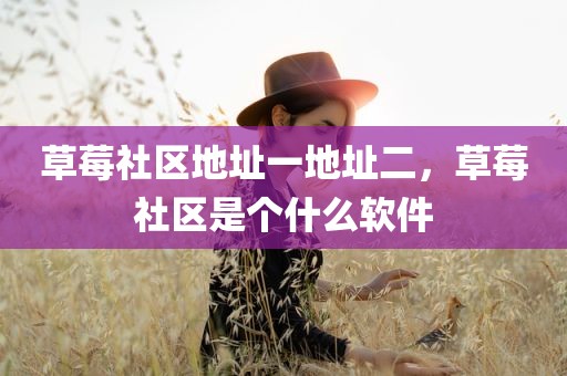 草莓社区地址一地址二，草莓社区是个什么软件
