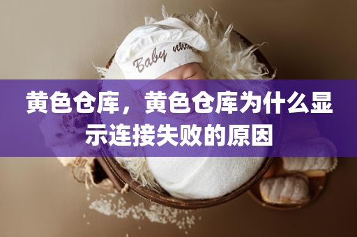 黄色仓库，黄色仓库为什么显示连接失败的原因