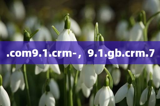 .com9.1.crm-，9.1.gb.crm.7